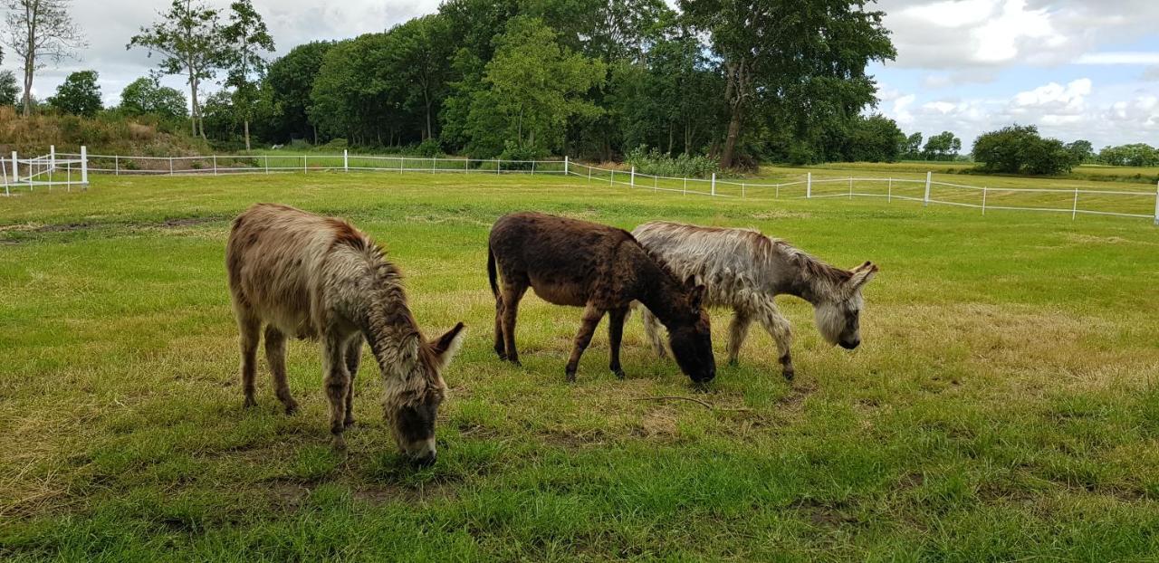 Ferienhaus Koemhuus Niebüll Zewnętrze zdjęcie
